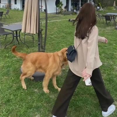 边境幻梦